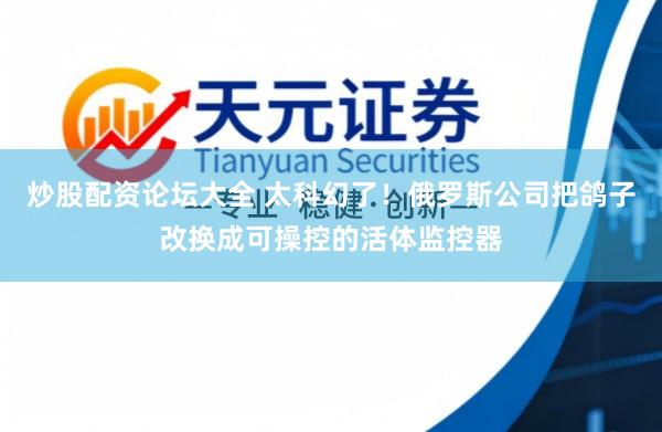 炒股配资论坛大全 太科幻了！俄罗斯公司把鸽子改换成可操控的活体监控器