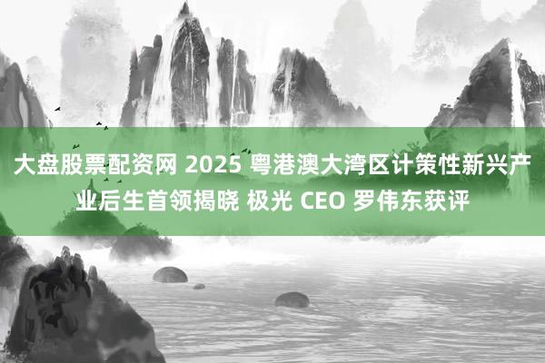 大盘股票配资网 2025 粤港澳大湾区计策性新兴产业后生首领揭晓 极光 CEO 罗伟东获评