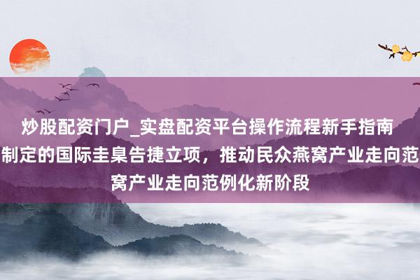 炒股配资门户_实盘配资平台操作流程新手指南 燕之屋主导制定的国际圭臬告捷立项，推动民众燕窝产业走向范例化新阶段