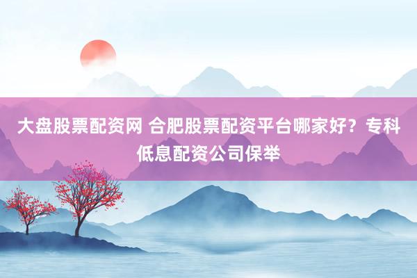 大盘股票配资网 合肥股票配资平台哪家好？专科低息配资公司保举