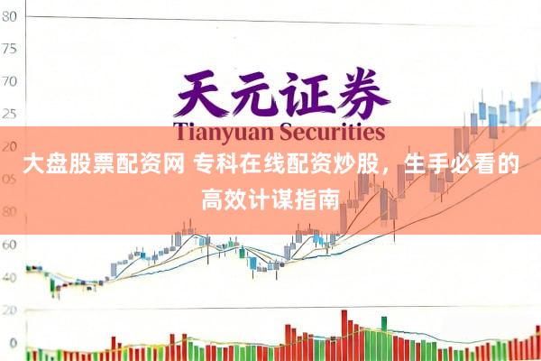 大盘股票配资网 专科在线配资炒股，生手必看的高效计谋指南